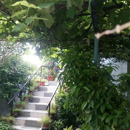 מלון סינמורץ Свети Никола מראה חיצוני תמונה