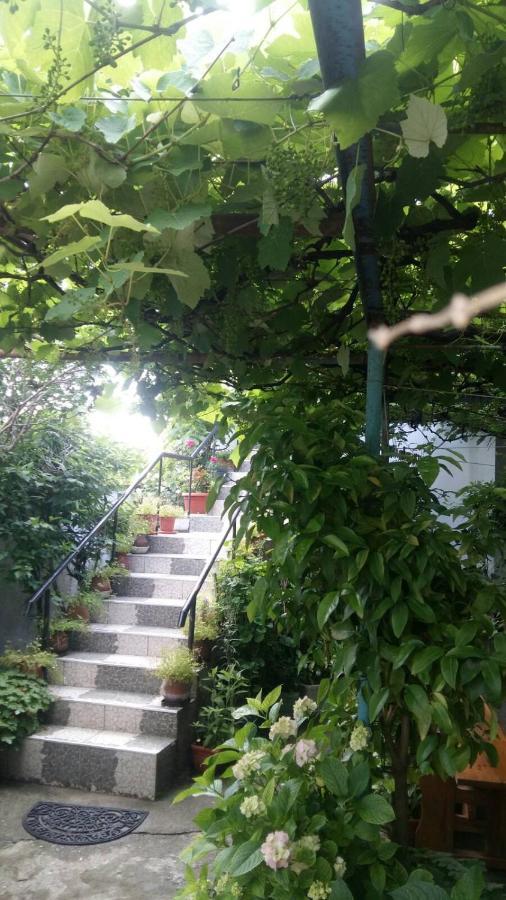 מלון סינמורץ Свети Никола מראה חיצוני תמונה