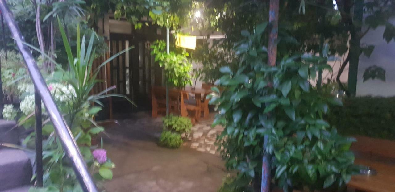 מלון סינמורץ Свети Никола מראה חיצוני תמונה